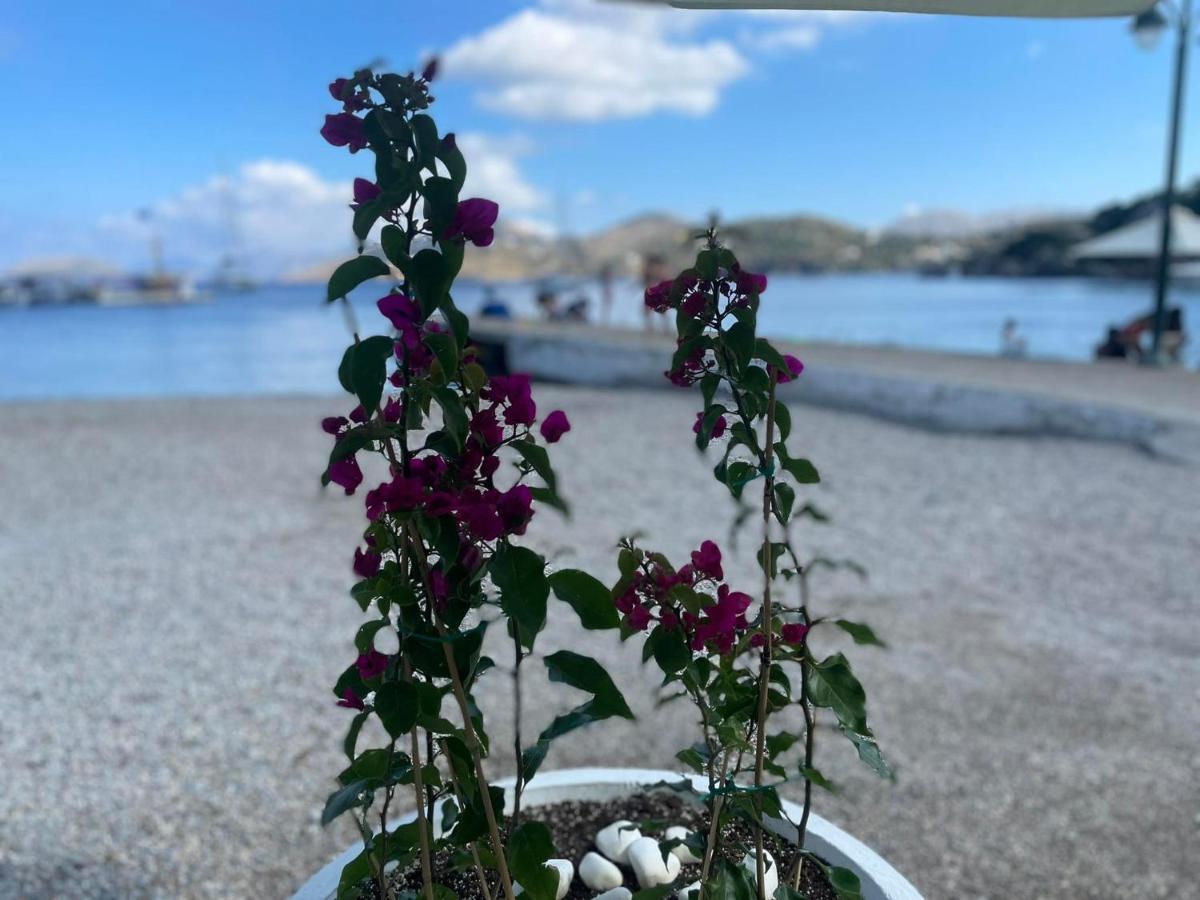 Ονειρόπετρα Λέρος~Oneiropetra Leros Apartment Panteli Bagian luar foto