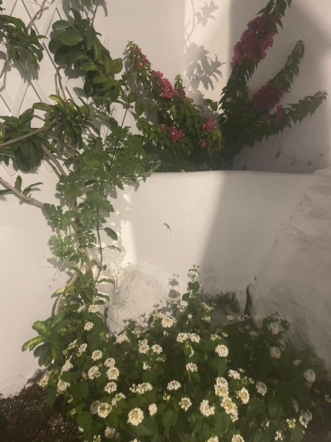Ονειρόπετρα Λέρος~Oneiropetra Leros Apartment Panteli Bagian luar foto